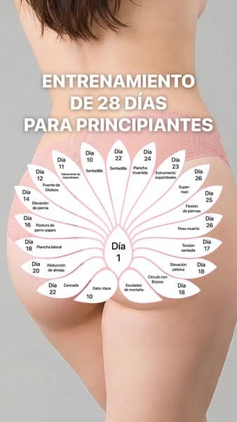 ¡Empezar ahora! 🚀