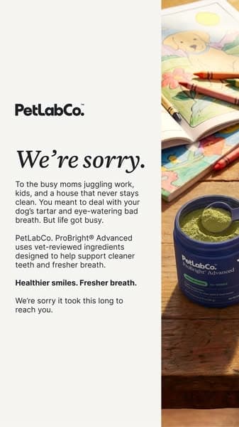 Busy Life? Your Dog's Teeth Don't Have to Suffer.