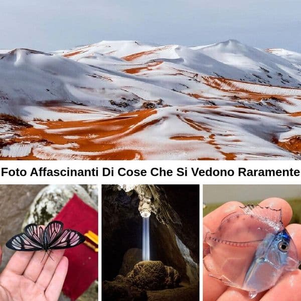 35+ Foto Che Mostrano Un Lato Del Mondo Mai Visto Prima