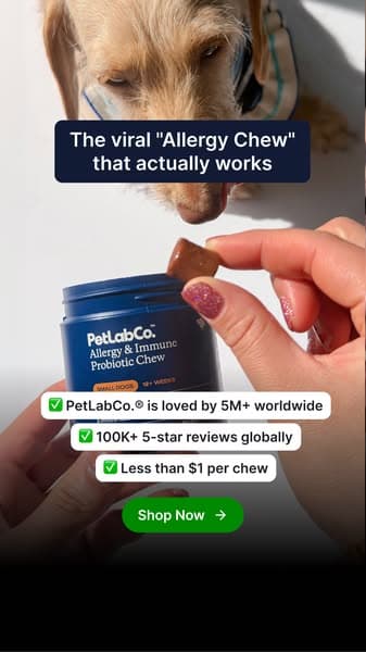 The daily chew that saved us this allergy season 🐶
