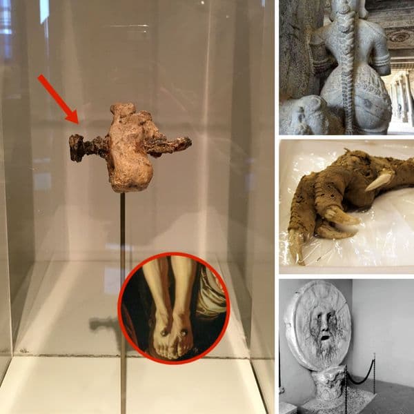 38+ Rare But Powerful Historical Artifacts Found In Unexpected Places