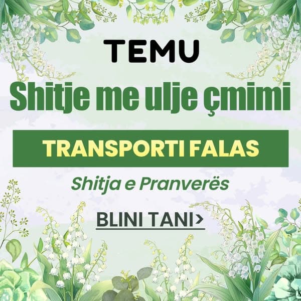 Çmime të Pakrahasueshme në Temu
