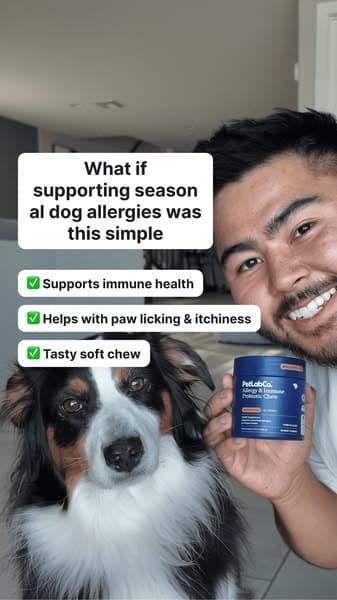 Allergy Support, Made Simple