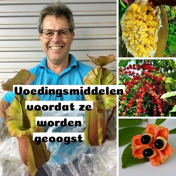 35 Voedingsmiddelen voordat ze worden geoogst