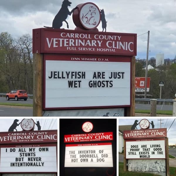 35+ Comical Signs That Make A Trip To The Vet More Enjoyable