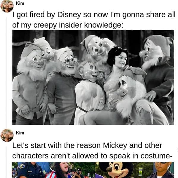 35+ Things Disney Doesn't Want Us To Know About Their Parks