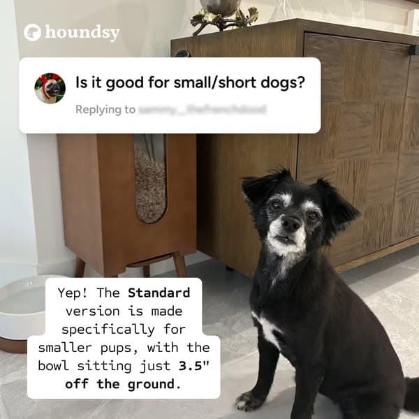 Portion-Controlled Feeder with 400+ 5-Star Reviews