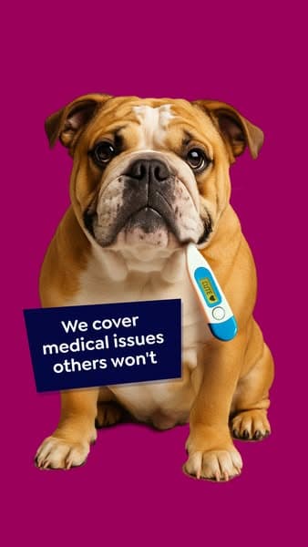 Lifetime Protection, for Less