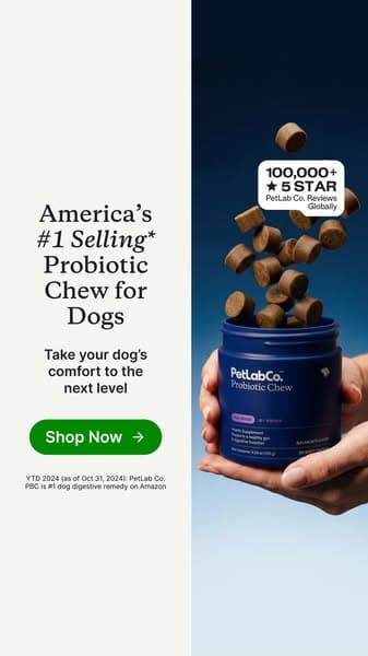 Finally a dog probiotic soft chew really built by science