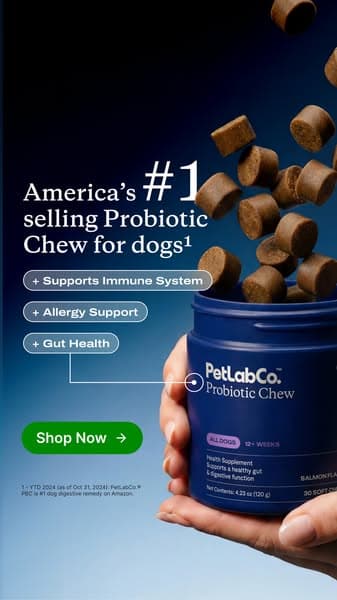 92% of dog parents love it from day one!