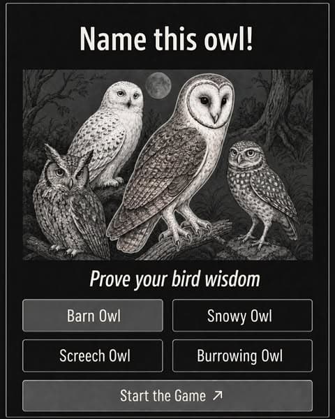 ๐Ornithology, but Bite-Sized!