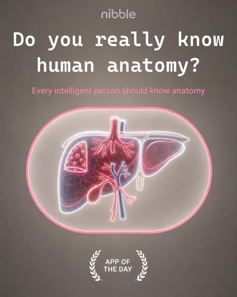 🔬 Biology, but Bite-Sized!