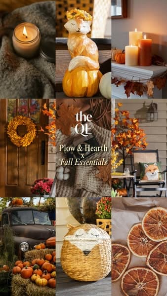 Elevated Fall Essentials