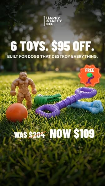 6 Toys Bundle, now $109 🧸