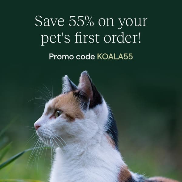 55% Off Your First Order