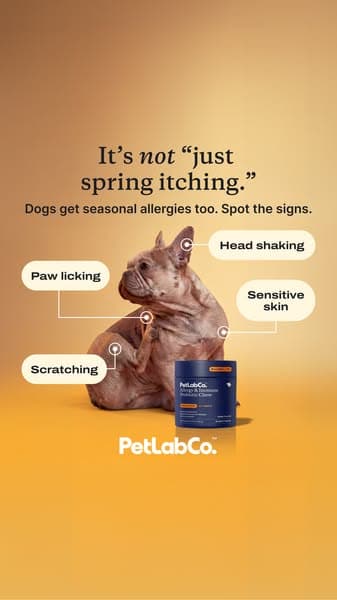 Why itching isn’t just a ‘habit’