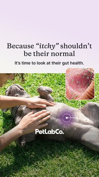 What’s Really Causing the Itch?