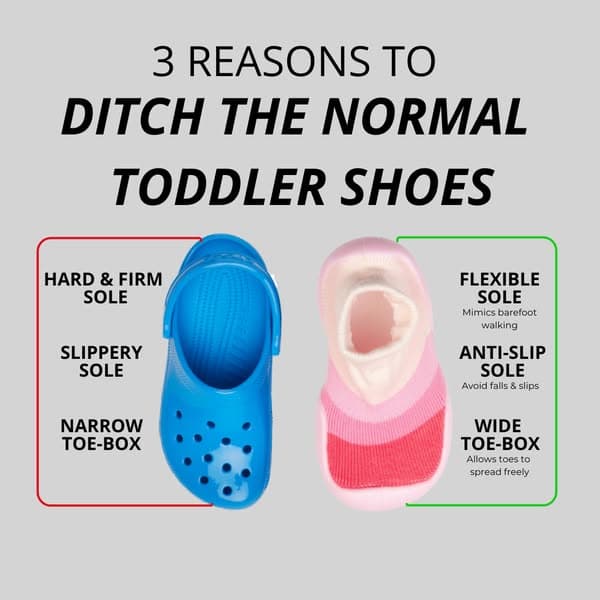 Free Today (Shipping Cost Applies)