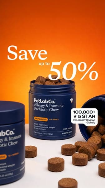 This "Allergy Chew" Helps Dogs Be Themselves Again ❤️