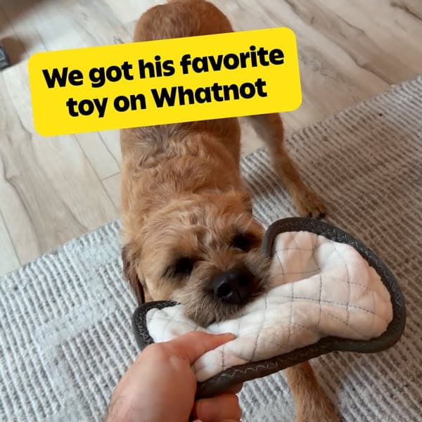 Whatnot: Shop, Sell, Connect