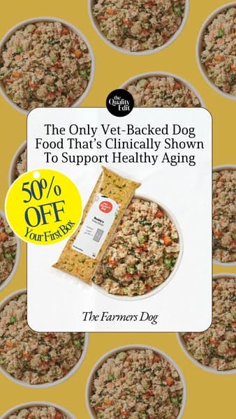 Why Our Editors Recommend The Farmer’s Dog (Now 50% Off)