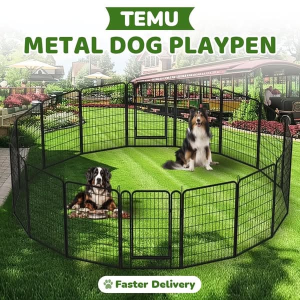 🌟 Pet lovers, behold!