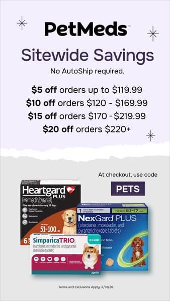 🎉 Buy More, Save More!