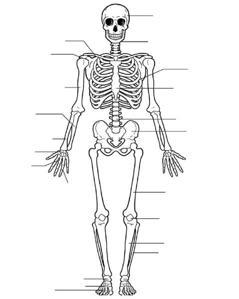 Can You Decode Medical Jargon Like a Pro?