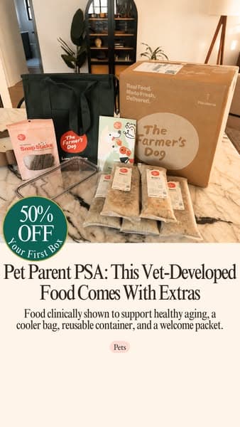Why Our Editors Recommend The Farmer’s Dog (Now 50% Off)