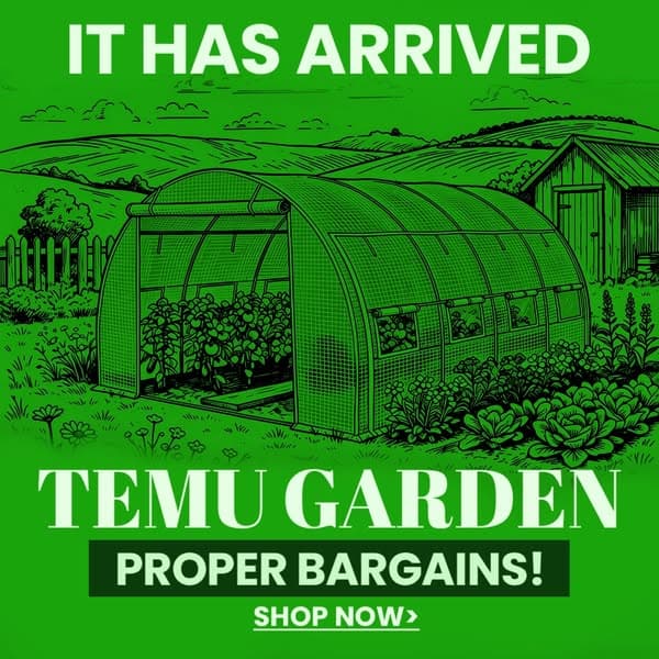Temu | Explore the Latest Clothing, Beauty, Home, Jewelry & More
