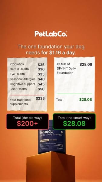 Replace $200+ In Dog Supplements With 1 Scoop