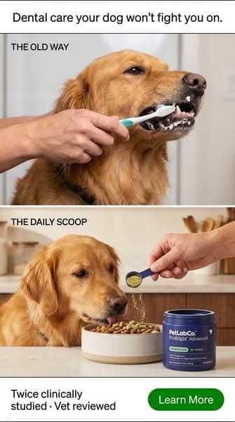 Keep their teeth clean WITHOUT a toothbrush!