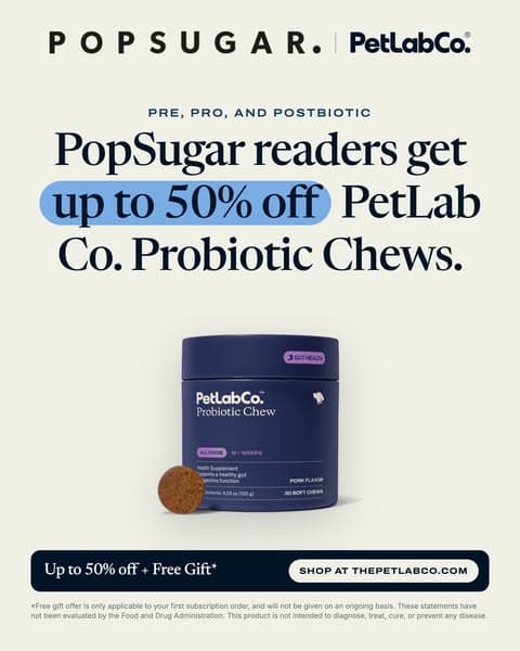 Up to 50% Off Probiotic Chews