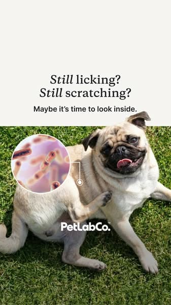 What’s Really Causing the Itch?