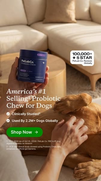 Finally a dog probiotic soft chew really built by science