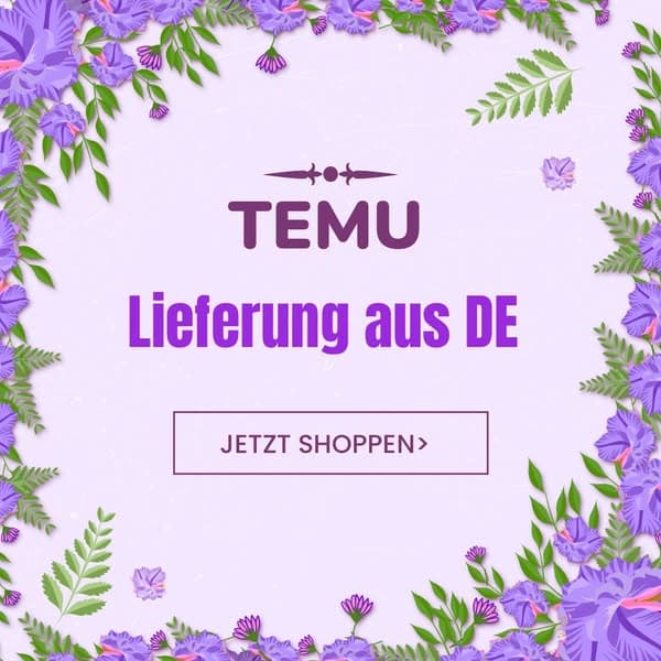 Tolle Angebote bei Temu
