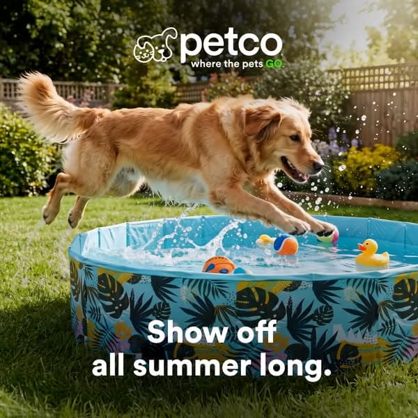 New summer swagger