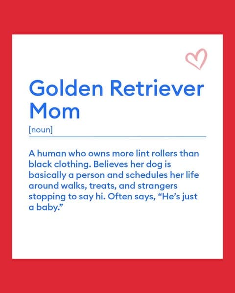 Pet Supplies, Accessories, and Pet Food - Pet Stores | PetSmart