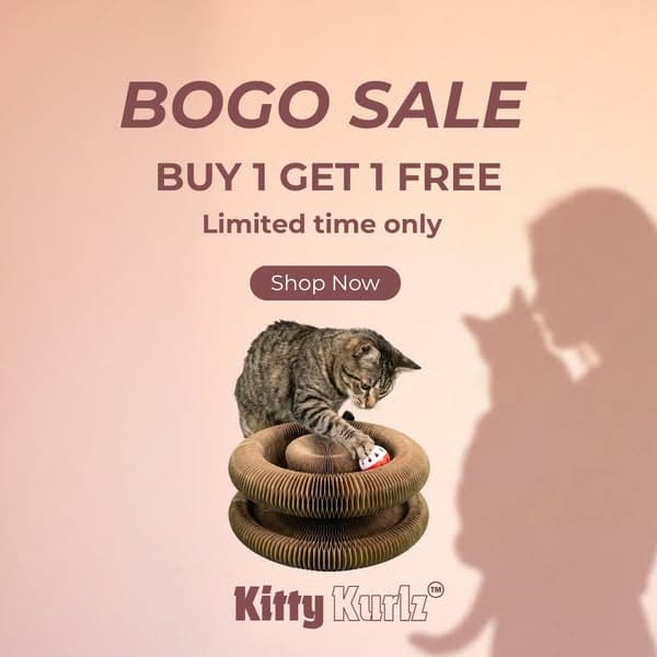 BOGO Birthday Treat