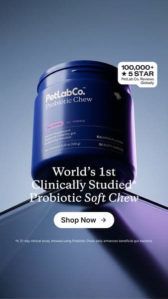 Finally a dog probiotic soft chew really built by science