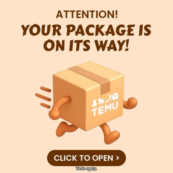 Come and Shop on Temu