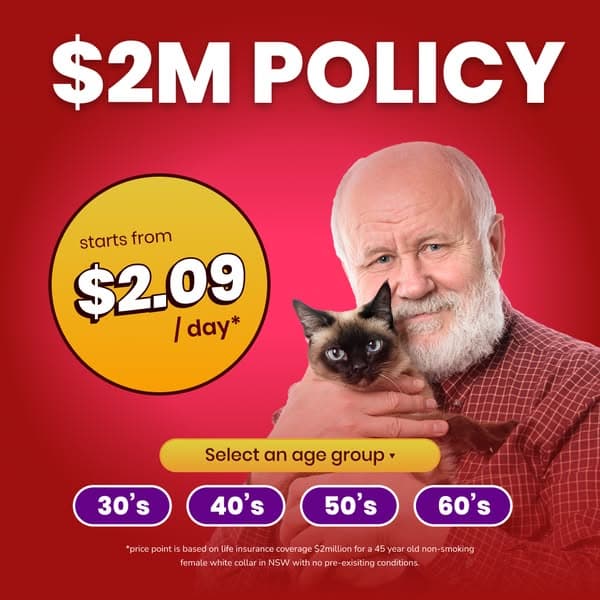 Compare & Switch Today!