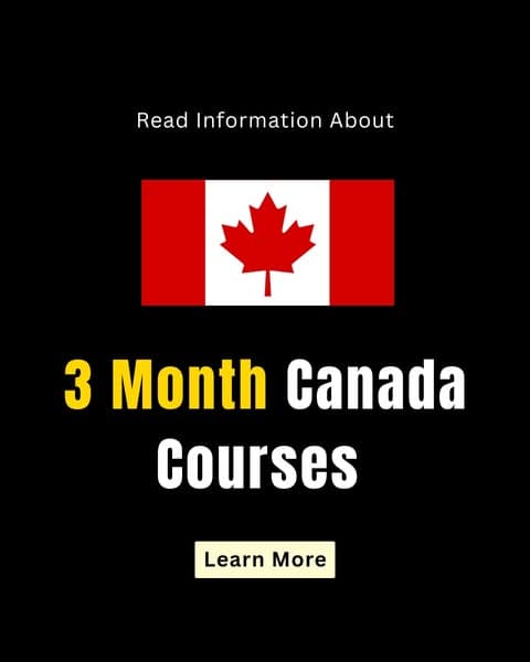 Learn more about 3-month courses in Canada