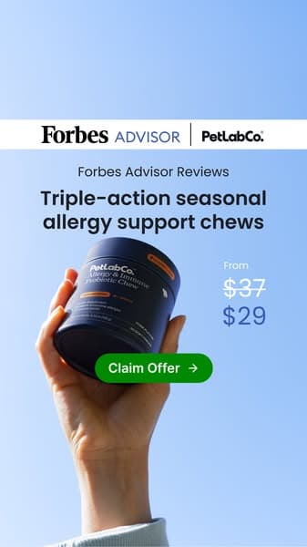 Triple-Action Seasonal Allergy Support for Dogs 🐾
