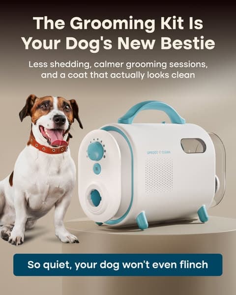 Struggling with Pet hair? Not for long!