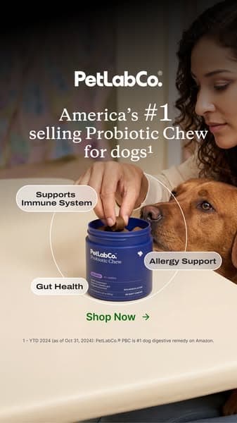92% of dog parents love it from day one!
