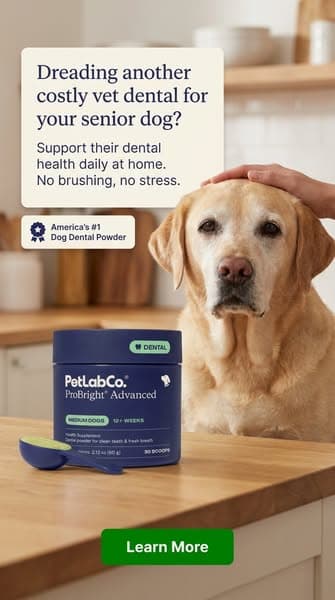 Keep their teeth clean WITHOUT a toothbrush!