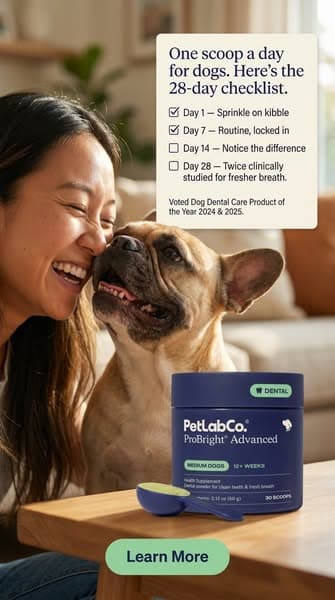 Keep their teeth clean WITHOUT a toothbrush!