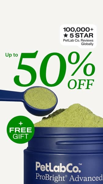 Get up to 50% OFF + FREE Gift today 👉