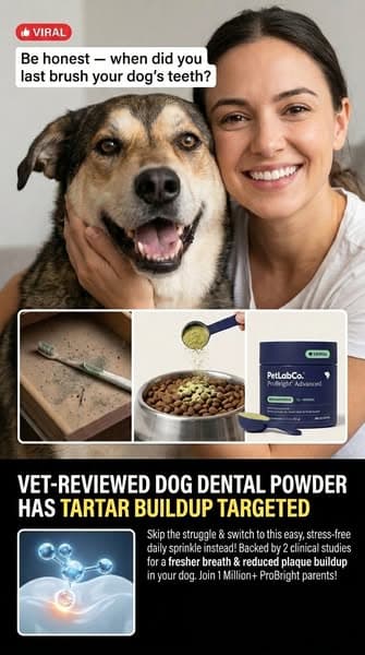 Be honest. When did you last brush their teeth?